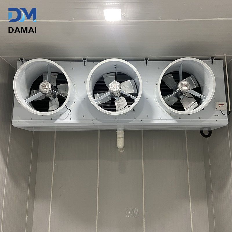 product-800-800 product-800-800